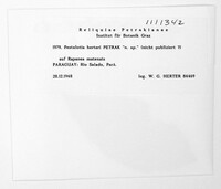 Pestalotia herteri image